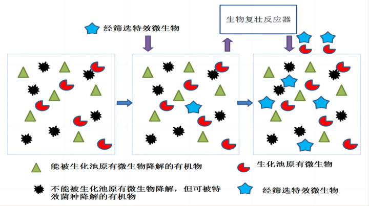 图片 2(1).png